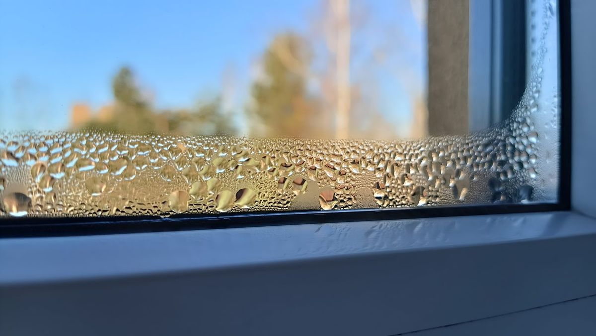 Condensation sur une fenêtre, signe d'humidité dans la maison