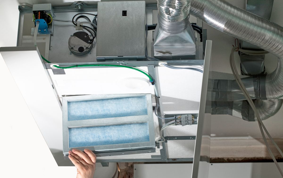Filtres d'une VMC double flux dans leur caisson